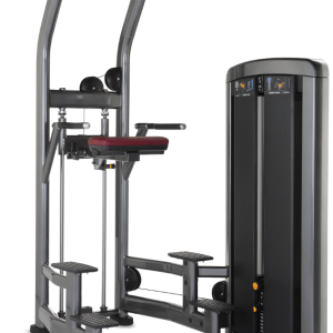 Assist Dip Chin Série Insignia