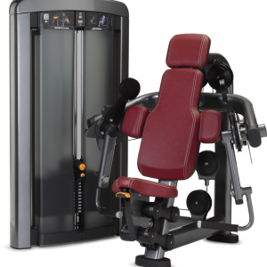 Biceps Curl Série Insignia