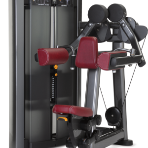 Lateral Raise Série Insignia